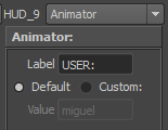 HUD_animatorOption_en